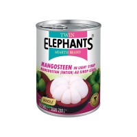 MANGOSTEEN IN SYRUP 565G ELEPHANTS